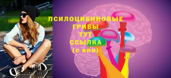 не бодяженный Новодвинск