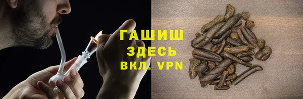 сатива Анжеро-Судженск