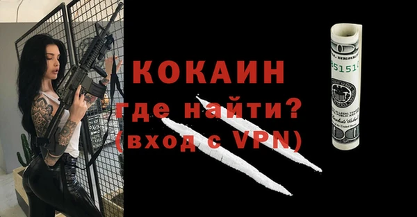 ешки Новозыбков