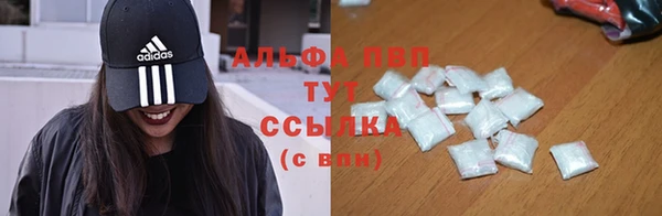 твердый Новокубанск