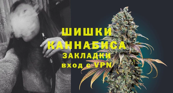 не бодяженный Новодвинск