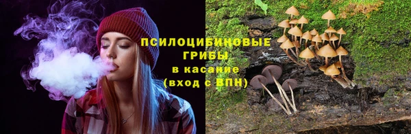 не бодяженный Новодвинск